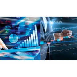 Công ty đại chúng không được mua lại cổ phiếu của đối tượng nào?