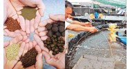 Hành vi bị xử phạt về điều kiện cơ sở sản xuất thức ăn thủy sản từ 20/5/2024