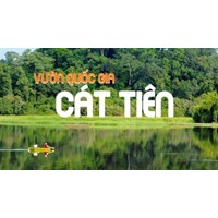 Thuyết minh Vườn quốc gia Cát Tiên ở Đồng Nai siêu hay