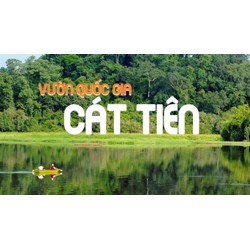 Thuyết minh Vườn quốc gia Cát Tiên ở Đồng Nai siêu hay