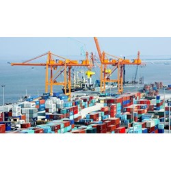 Thời hạn nộp thuế xuất khẩu, thuế nhập khẩu hàng hóa?