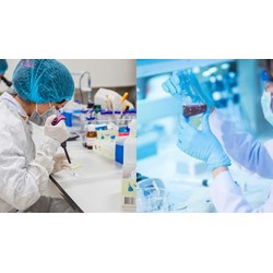 Thuốc được chứng minh tương đương sinh học là gì?