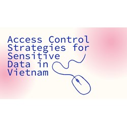 Access Control Strategies for Sensitive Data in Vietnam