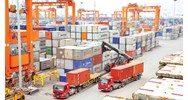 Quy định mới nhất về hàng hóa xuất khẩu giống hệt thế nào?