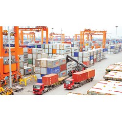 Quy định mới nhất về hàng hóa xuất khẩu giống hệt thế nào?