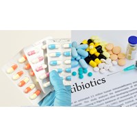 Dàn ý thuyết phục mọi người từ bỏ thói quen lạm dụng kháng sinh