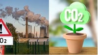 Tổ chức và phát triển thị trường các-bon như thế nào?