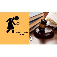 Văn bản tố tụng hình sự có bao gồm bản kết luận điều tra không?