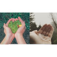 Dàn ý nghị luận Mọi thứ rồi sẽ qua đi, chỉ còn tình người ở lại