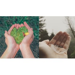 Dàn ý nghị luận Mọi thứ rồi sẽ qua đi, chỉ còn tình người ở lại