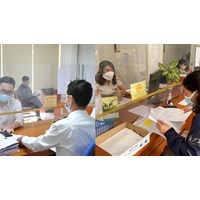 Tiêu chuẩn về năng lực chuyên môn và nghiệp vụ kiểm tra viên chính thuế