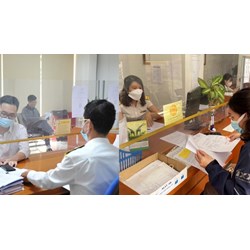 Tiêu chuẩn về năng lực chuyên môn và nghiệp vụ kiểm tra viên chính thuế