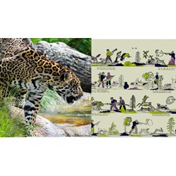 Dàn ý nghị luận về nạn săn bắt thú hoang siêu hay, đạt điểm cao