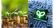 Tăng trưởng xanh là gì? Ví dụ về tăng trưởng xanh?