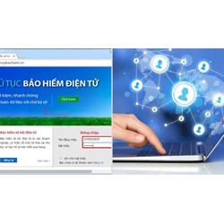 Quyền và nghĩa vụ của tổ chức I-VAN với Cổng thông tin điện tử của BHXH Việt Nam