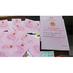 Những trường hợp không được cấp giấy chứng nhận quyền sử dụng đất theo luật đất đai 2024