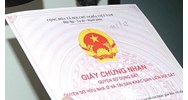 Quy định về quyền chuyển nhượng quyền sử dụng đất năm 2024