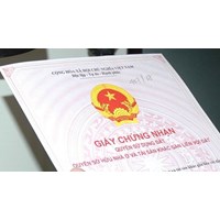Quy định về quyền chuyển nhượng quyền sử dụng đất năm 2024