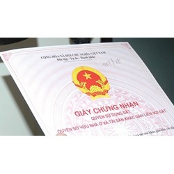 Quy định về quyền chuyển nhượng quyền sử dụng đất năm 2024