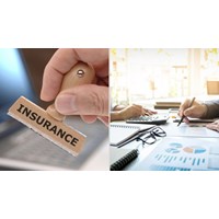 Trách nhiệm phê duyệt kế hoạch kiểm toán nội bộ hằng năm đối với doanh nghiệp bảo hiểm