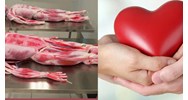 Có cấm lấy mô bộ phận cơ thể ở người sống dưới mười tám tuổi không?