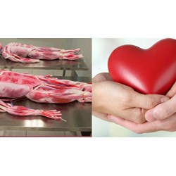 Có cấm lấy mô bộ phận cơ thể ở người sống dưới mười tám tuổi không?