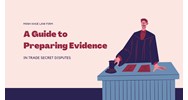 A Guide to Preparing Evidence in Trade Secret Disputes