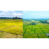 Tổng hợp 27 hành vi vi phạm Luật Đất đai 2024 bị xử phạt hành chính