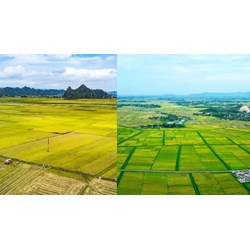 Tổng hợp 27 hành vi vi phạm Luật Đất đai 2024 bị xử phạt hành chính