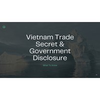 Vietnam Trade Secrets & Government Disclosure: What to Know