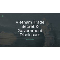 Vietnam Trade Secrets & Government Disclosure: What to Know