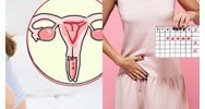Có được tự quy định thời gian nghỉ của lao động nữ trong thời gian hành kinh không?