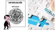 Chủ hợp đồng bảo hiểm là người được bảo hiểm hay bên mua bảo hiểm?