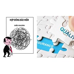 Chủ hợp đồng bảo hiểm là người được bảo hiểm hay bên mua bảo hiểm?
