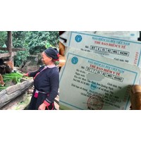 Hộ gia đình làm nông nghiệp có mức sống trung bình có được hoàn trả BHYT?