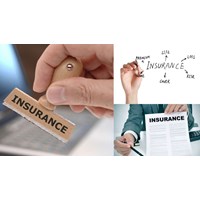 Sẽ thu hồi chứng chỉ đại lý bảo hiểm trong trường hợp nào?