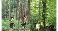 Hệ số bậc lương của người thực hiện công tác thực địa điều tra rừng