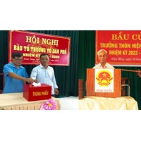 Tổ dân phố có bắt buộc phải có Phó Tổ trưởng tổ dân phố hay không?