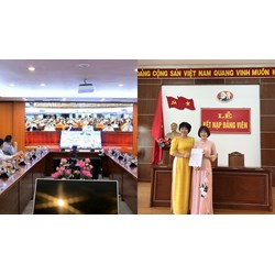 Quy trình thực hiện kiểm tra tài chính của Đảng như thế nào?