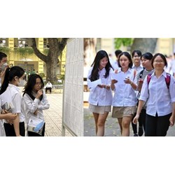 Môn học tự chọn có được tính vào điểm trung bình môn cả năm không?