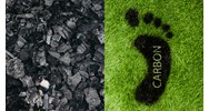 Các địa phương nào được cấp mua bán tín chỉ carbon ở Việt Nam?
