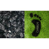 Các địa phương nào được cấp mua bán tín chỉ carbon ở Việt Nam?