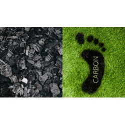 Các địa phương nào được cấp mua bán tín chỉ carbon ở Việt Nam?
