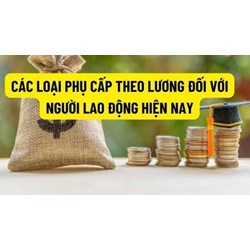 Mức tối đa của các khoản phụ cấp cho người lao động là bao nhiêu?