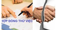 Chấm dứt hợp đồng thử việc trước hạn có vi phạm hợp đồng không?