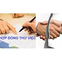 Chấm dứt hợp đồng thử việc trước hạn có vi phạm hợp đồng không?