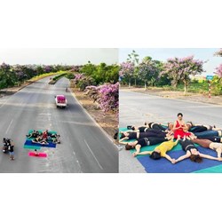 Mức phạt với nhóm yoga nằm ngồi giữa đường chụp hình hoa bằng lăng