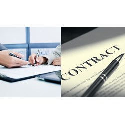 Trường hợp nào vi phạm hợp đồng kinh tế sẽ được miễn trách nhiệm?