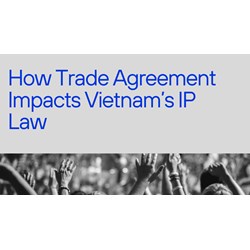 How Trade Agreements Impact Vietnam's IP Laws (Examples)