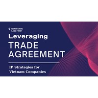 Leveraging Trade Agreements: IP Strategies for Vietnam Companies